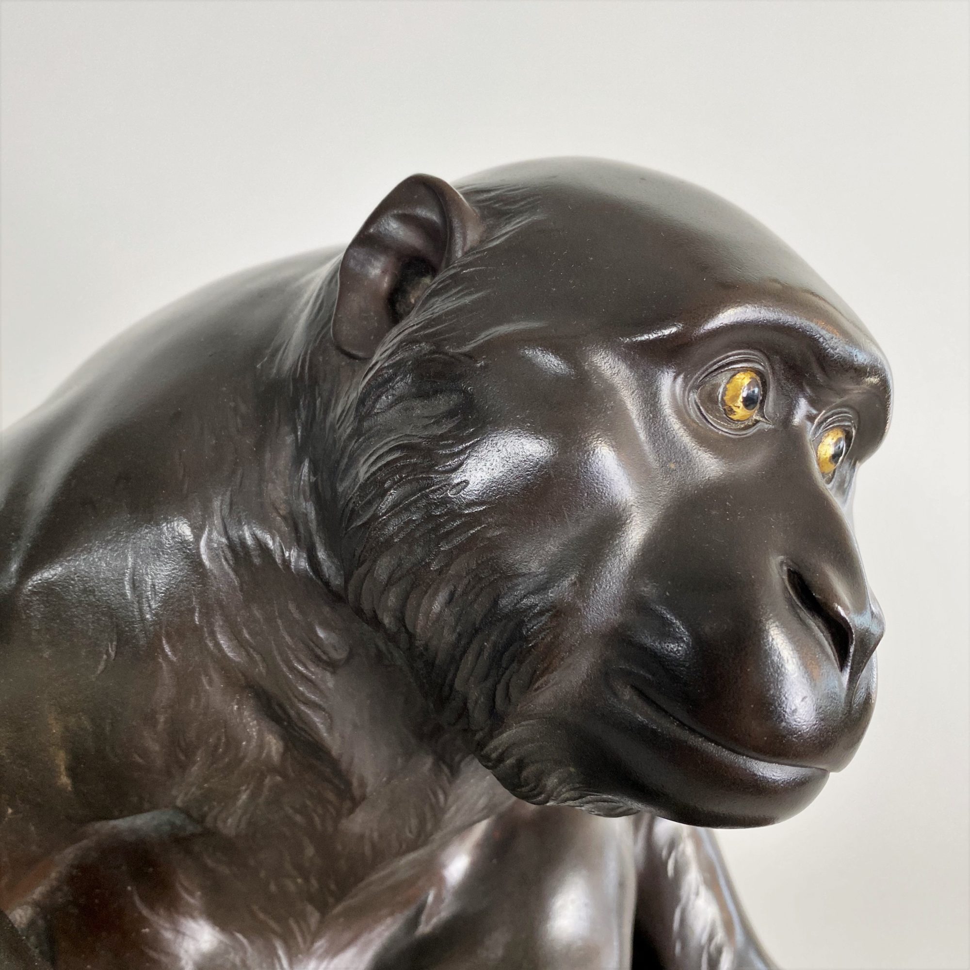 Bronze Monkey Bronze Monkey